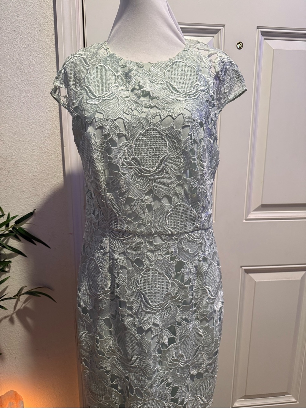 Ted Baker Raenna Mint Green Lace Sheath Dress 4 Elegant Cocktail Wedding Guest - Picture 5 of 14